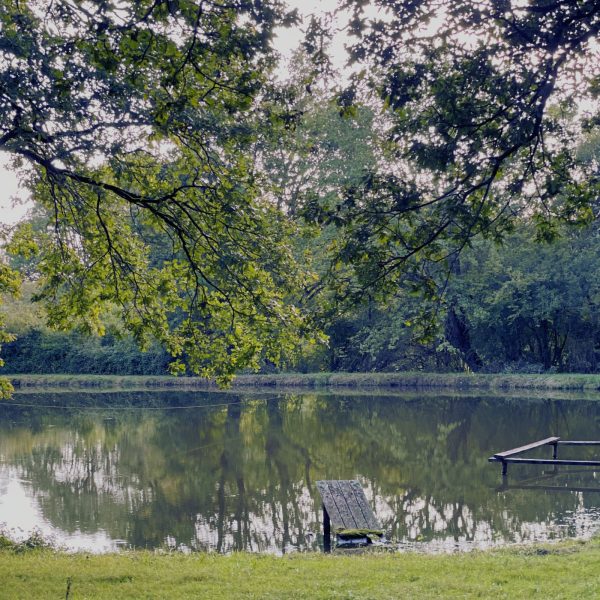 Orange Simple Winter Sunset Photo Collage - 1